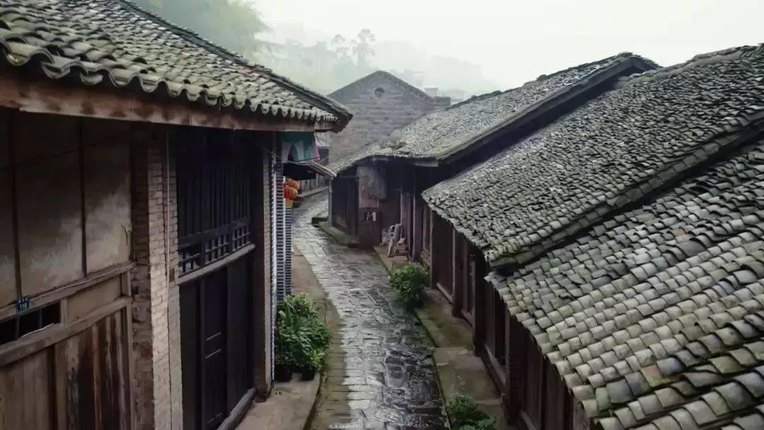 甲辰龙年不一样的龙腾——记尉明宽之龙画