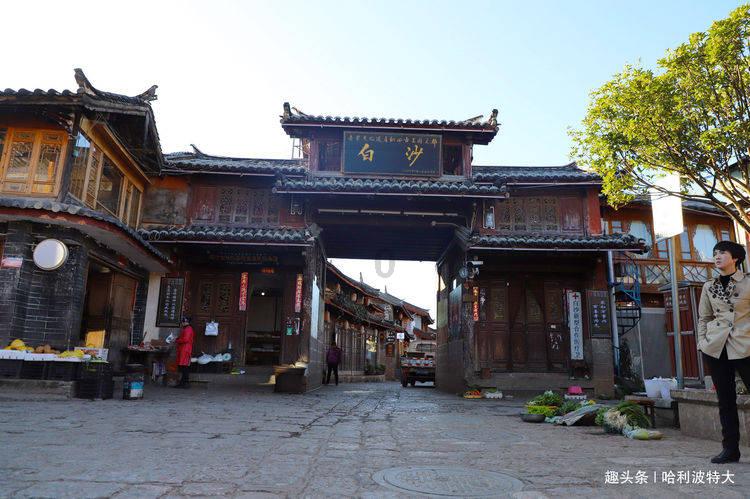 瑞德的冒险之旅中文版